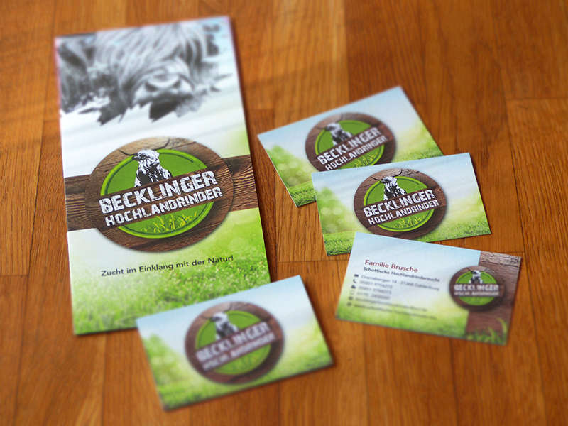 Becklinger Hochlandrinder